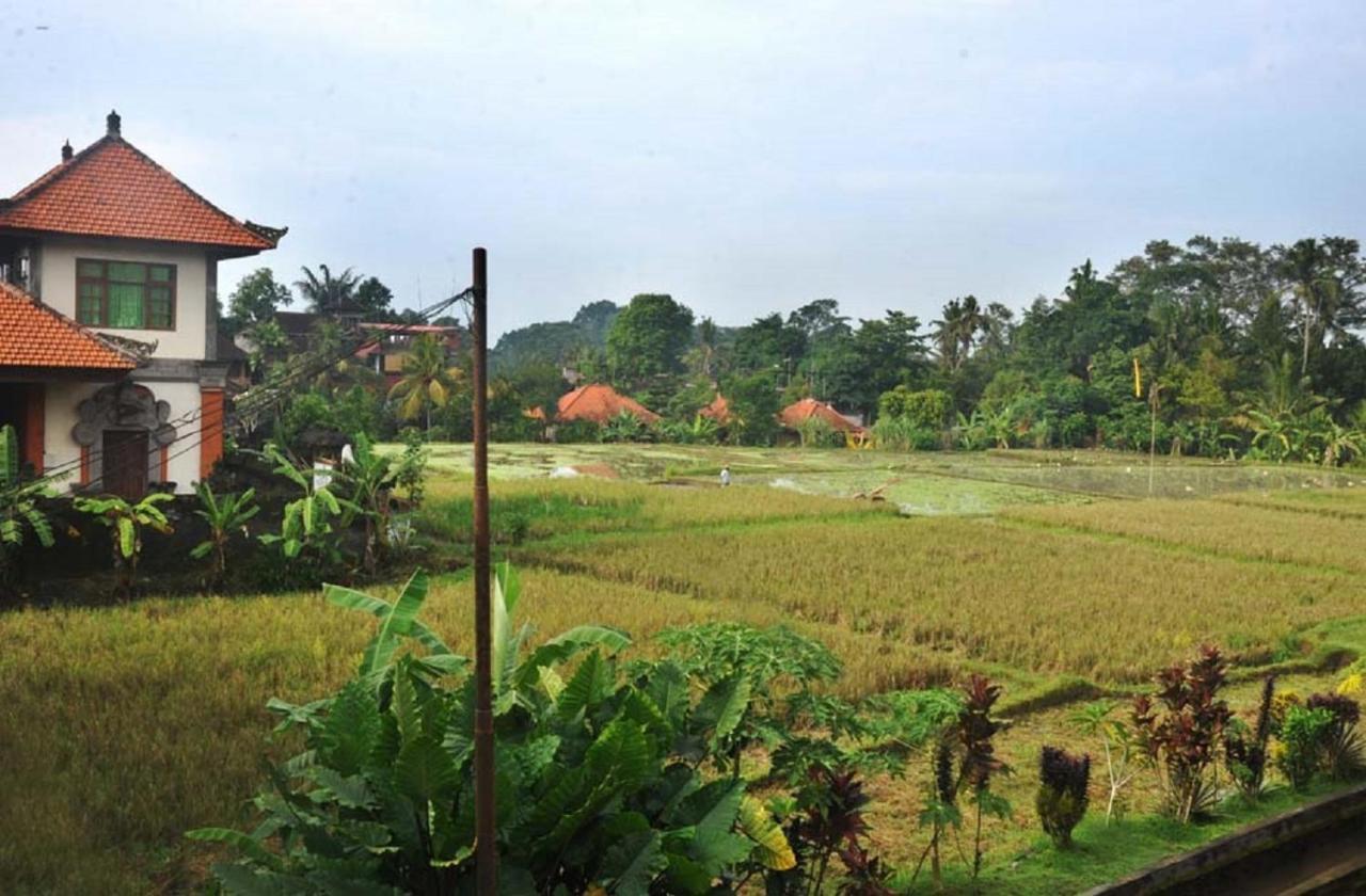 Candra Asri Bungalow 우붓 외부 사진
